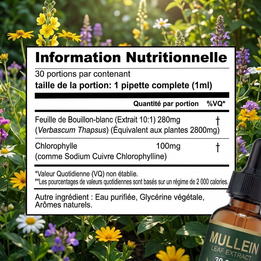 Floryne - Retrouve ton Souffle